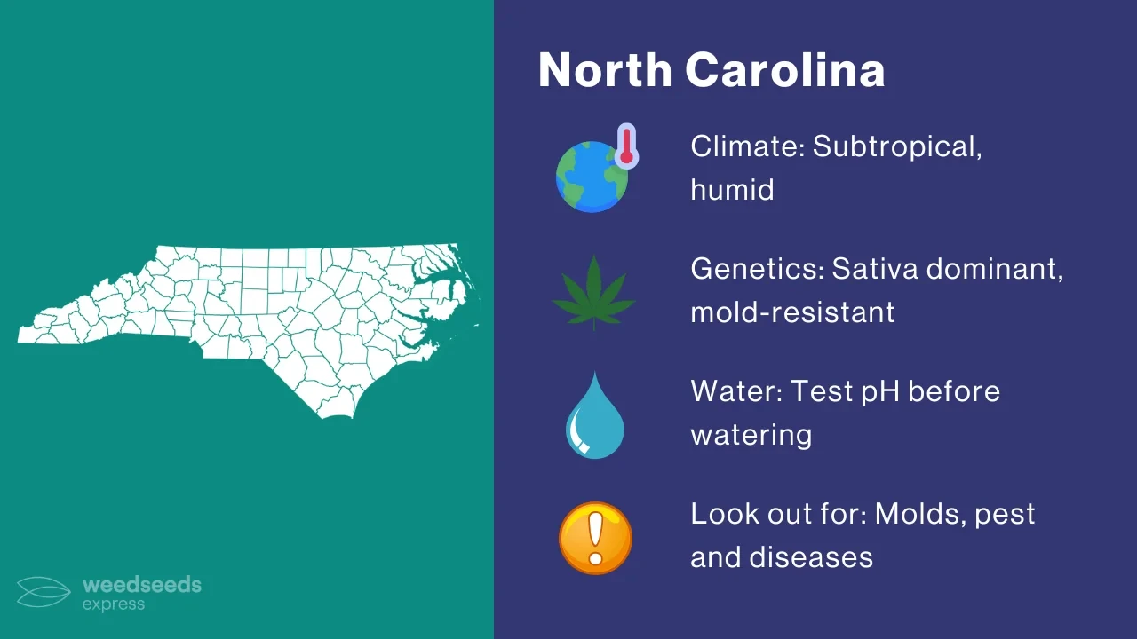 Cannabis Growing Climate in North Carolina